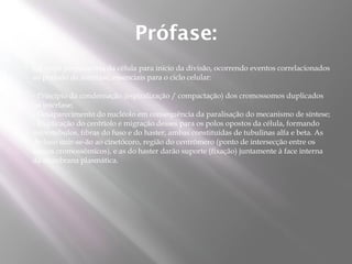 Prófase:
   é a etapa preparatória da célula para início da divisão, ocorrendo eventos correlacionados
    ao período de interfase, essenciais para o ciclo celular:

    - Princípio da condensação (espiralização / compactação) dos cromossomos duplicados
    na interfase;
    - Desaparecimento do nucléolo em consequência da paralisação do mecanismo de síntese;
    - Duplicação do centríolo e migração desses para os polos opostos da célula, formando
    microtúbulos, fibras do fuso e do haster, ambas constituídas de tubulinas alfa e beta. As
    do fuso unir-se-ão ao cinetócoro, região do centrômero (ponto de intersecção entre os
    braços cromossômicos), e as do haster darão suporte (fixação) juntamente à face interna
    da membrana plasmática.
 