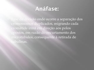 Anáfase:
   Fase da divisão onde ocorre a separação dos
    cromossomos duplicados, migrando cada
    cromátide irmã em direção aos polos
    opostos, em razão do encurtamento dos
    microtúbulos, consequente à retirada de
    tubulinas.
 