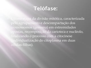 Telófase:
   Última etapa da divisão mitótica, caracterizada
    pelo agrupamento e descompactação dos
    cromossomos (genoma) em extremidades
    opostas, recomposição da carioteca e nucléolo,
    finalizando o processo com a citocinese
    (individualização do citoplasma em duas
    células-filhas).
 