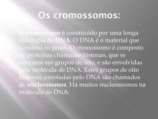 Os cromossomos:
   O cromossomo é constituído por uma longa
    fita dupla de DNA. O DNA é o material que
    constitui os genes. O cromossomo é composto
    de proteínas chamadas histonas, que se
    arranjam em grupos de oito, e são envolvidas
    pela molécula de DNA. Estes grupos de oito
    histonas, enroladas pelo DNA são chamados
    de nucleossomos. Há muitos nucleossomos na
    molécula de DNA.
 