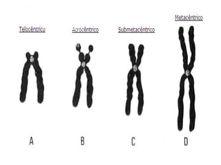    Clique para editar os estilos do texto mestre
       Segundo nível
       Terceiro nível
         Quarto nível
           Quinto nível
 