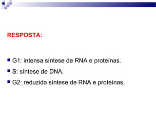 RESPOSTA:



   G1: intensa síntese de RNA e proteínas.
   S: síntese de DNA.
   G2: reduzida síntese de RNA e proteínas.
 