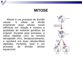 MITOSE

    Mitose é um processo de divisão
celular.   A    célula   se  divide
originando duas células novas
idênticas em relação à número e
qualidade do material genético da
original. Durante esse processo, a
célula diplóide (2n) se tornará
tetraplóide (4n), temporariamente,
e resultará em duas células-filhas
diplóides. Portanto, esse é um
processo     de    divisão  celular
equacional.
 