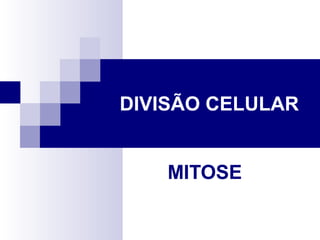 DIVISÃO CELULAR


    MITOSE
 