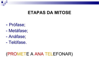 ETAPAS DA MITOSE

- Prófase;
- Metáfase;
- Anáfase;
- Telófase.

(PROMETE A ANA TELEFONAR)
 