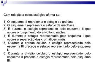 Com relação a estes estágios afirma-se:

1) O esquema III representa o estágio de anáfase.
2) O esquema II representa o estágio de metáfase.
3) É durante o estágio representado pelo esquema II que
   ocorre o rompimento do envoltório nuclear.
4) É durante o estágio representado pelo esquema I que
   ocorre a separação das cromátides irmãs.
5) Durante a divisão celular, o estágio representado pelo
   esquema III precede o estágio representado pelo esquema
   I.
6) Durante a divisão celular, o estágio representado pelo
   esquema II precede o estágio representado pelo esquema
   III.
 