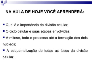 NA AULA DE HOJE VOCÊ APRENDERÁ:


   Qual é a importância da divisão celular;
   O ciclo celular e suas etapas envolvidas;
   A mitose, todo o processo até a formação dos dois
núcleos;
   A esquematização de todas as fases da divisão
celular.
 