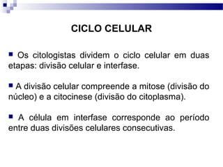 CICLO CELULAR

 Os citologistas dividem o ciclo celular em duas
etapas: divisão celular e interfase.

 A divisão celular compreende a mitose (divisão do
núcleo) e a citocinese (divisão do citoplasma).

 A célula em interfase corresponde ao período
entre duas divisões celulares consecutivas.
 