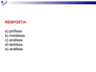 RESPOSTA:

a) prófase
b) metáfase
c) anáfase
d) telófase
e) anáfase
 