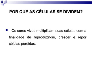 POR QUE AS CÉLULAS SE DIVIDEM?



    Os seres vivos multiplicam suas células com a
    finalidade de reproduzir-se, crescer e repor
    células perdidas.
 