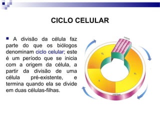 CICLO CELULAR

  A divisão da célula faz
parte do que os biólogos
denominam ciclo celular; este
é um período que se inicia
com a origem da célula, a
partir da divisão de uma
célula    pré-existente,    e
termina quando ela se divide
em duas células-filhas.
 