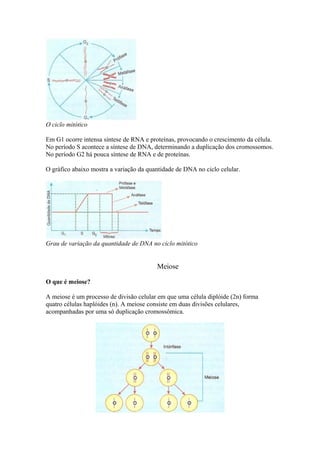 O ciclo mitótico
Em G1 ocorre intensa síntese de RNA e proteínas, provocando o crescimento da célula.
No período S acontece a síntese de DNA, determinando a duplicação dos cromossomos.
No período G2 há pouca síntese de RNA e de proteínas.
O gráfico abaixo mostra a variação da quantidade de DNA no ciclo celular.
Grau de variação da quantidade de DNA no ciclo mitótico
Meiose
O que é meiose?
A meiose é um processo de divisão celular em que uma célula diplóide (2n) forma
quatro células haplóides (n). A meiose consiste em duas divisões celulares,
acompanhadas por uma só duplicação cromossômica.
 