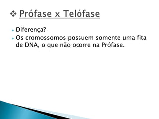  Diferença?
 Os cromossomos possuem somente uma fita
de DNA, o que não ocorre na Prófase.
 