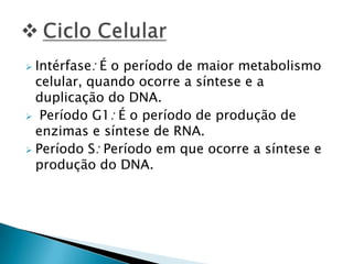  Intérfase: É o período de maior metabolismo
celular, quando ocorre a síntese e a
duplicação do DNA.
 Período G1: É o período de produção de
enzimas e síntese de RNA.
 Período S: Período em que ocorre a síntese e
produção do DNA.
 