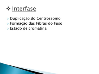  Duplicação do Centrossomo
 Formação das Fibras do Fuso
 Estado de cromatina
 