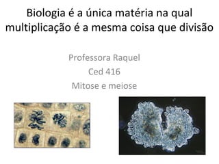 Biologia é a única matéria na qual
multiplicação é a mesma coisa que divisão
Professora Raquel
Ced 416
Mitose e meiose
 