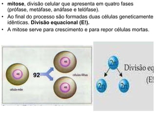 mitose , divisão celular que apresenta em quatro fases (prófase, metáfase, anáfase e telófase).  Ao final do processo são formadas duas células geneticamente idênticas.  Divisão equacional (E!). A mitose serve para crescimento e para repor células mortas. 92 
