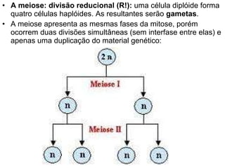 A meiose:   divisão reducional (R!):  uma célula diplóide forma quatro células haplóides. As resultantes serão  gametas .  A meiose apresenta as mesmas fases da mitose, porém ocorrem duas divisões simultâneas (sem interfase entre elas) e apenas uma duplicação do material genético:  