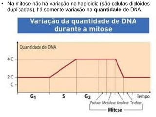 • Na mitose não há variação na haploidia (são células diplóides
  duplicadas), há somente variação na quantidade de DNA.
•
 