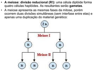 • A meiose: divisão reducional (R!): uma célula diplóide forma
  quatro células haplóides. As resultantes serão gametas.
• A meiose apresenta as mesmas fases da mitose, porém
  ocorrem duas divisões simultâneas (sem interfase entre elas) e
  apenas uma duplicação do material genético:
 