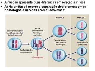 • A meiose apresenta duas diferenças em relação a mitose
• A) Na anáfase I ocorre a separação dos cromossomos
  homólogos e não das cromátides-irmâs:
 