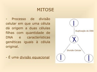 MITOSE

- Processo de divisão
celular em que uma célula
dá origem a duas células
                                      Duplicação do DNA
filhas com quantidade de
DNA       e características
genéticas iguais à célula
original.
                              Divisão Celular


- É uma divisão equacional
 