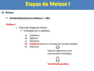 3) Meiose
 Divisão Reducional ou Meiose I – (R!)
Prófase I
o Fase mais longa da meiose
 É dividida em 5 subfases:
a) Leptóteno
b) Zigóteno
c) Paquíteno
d) Diplóteno (ocorre o crossing-over ou permutação)
e) Diacinese
Troca de fragmentos entre
cromossomos homólogos
Variabilidade genética
Etapas da Meiose I
 