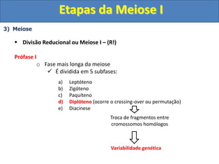 3) Meiose
 Divisão Reducional ou Meiose I – (R!)
Prófase I
o Fase mais longa da meiose
 É dividida em 5 subfases:
a) Leptóteno
b) Zigóteno
c) Paquíteno
d) Diplóteno (ocorre o crossing-over ou permutação)
e) Diacinese
Troca de fragmentos entre
cromossomos homólogos
Variabilidade genética
Etapas da Meiose I
 