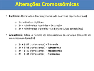  Euploidia: Altera todo o teor do genoma (não ocorre na espécie humana)
o 2n: indivíduos diplóides
o 2n – n: indivíduos haplóides – Ex: zangão
o 2n + n: indivíduos triplóides – Ex: Banana (Musa paradisíaca)
 Aneuploidia: Altera o número de cromossomos do cariótipo (conjunto de
cromossomos diplóides)
o 2n + 1 (47 cromossomos) – Trissomia
o 2n + 2 (48 cromossomos) – Tetrassomia
o 2n – 1 (45 cromossomos) – Monossomia
o 2n – 2 (44 cromossomos) – Nulissomia
Alterações Cromossômicas
 