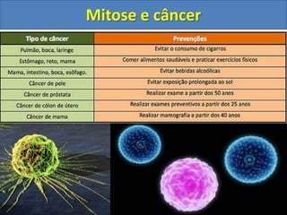 Mitose e câncer
 