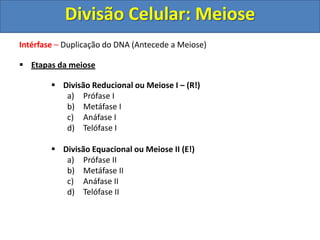 Intérfase – Duplicação do DNA (Antecede a Meiose)
 Etapas da meiose
 Divisão Reducional ou Meiose I – (R!)
a) Prófase I
b) Metáfase I
c) Anáfase I
d) Telófase I
 Divisão Equacional ou Meiose II (E!)
a) Prófase II
b) Metáfase II
c) Anáfase II
d) Telófase II
Divisão Celular: Meiose
 