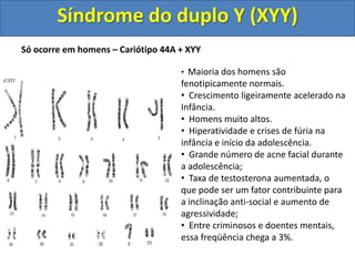 Só ocorre em homens – Cariótipo 44A + XYY
• Maioria dos homens são
fenotipicamente normais.
• Crescimento ligeiramente acelerado na
Infância.
• Homens muito altos.
• Hiperatividade e crises de fúria na
infância e início da adolescência.
• Grande número de acne facial durante
a adolescência;
• Taxa de testosterona aumentada, o
que pode ser um fator contribuinte para
a inclinação anti-social e aumento de
agressividade;
• Entre criminosos e doentes mentais,
essa freqüência chega a 3%.
Síndrome do duplo Y (XYY)
 