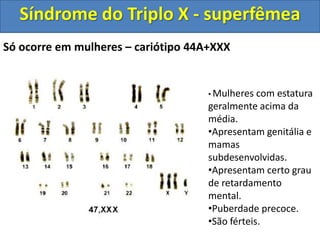 Só ocorre em mulheres – cariótipo 44A+XXX
• Mulheres com estatura
geralmente acima da
média.
•Apresentam genitália e
mamas
subdesenvolvidas.
•Apresentam certo grau
de retardamento
mental.
•Puberdade precoce.
•São férteis.
Síndrome do Triplo X - superfêmea
 