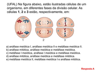 (UFAL) Na figura abaixo, estão ilustradas células de um
organismo, em diferentes fases da divisão celular. As
células 1, 2 e 3 estão, respectivamente, em:
a) anáfase meiótica I, anáfase meiótica II e metáfase meiótica II.
b) anáfase mitótica, anáfase meiótica e metáfase meiótica.
c) metáfase I meiótica, anáfase I meiótica e metáfase meiótica.
d) anáfase mitótica, anáfase meiótica e metáfase mitótica.
e) metáfase meiótica II, metáfase meiótica I e anáfase mitótica.
Resposta A
 