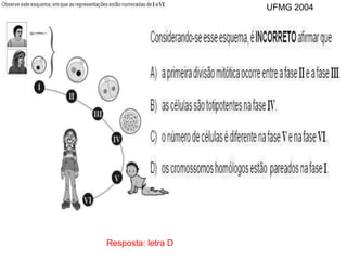 INTERFASE QUE PRECEDE A DIVISÃO
Resposta: letra D
UFMG 2004
 
