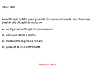 INTERFASE QUE PRECEDE A DIVISÃO
Resposta: letra A
UFMG 2003
 