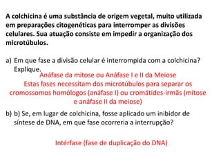 INTERFASE QUE PRECEDE A DIVISÃO
A colchicina é uma substância de origem vegetal, muito utilizada
em preparações citogenéticas para interromper as divisões
celulares. Sua atuação consiste em impedir a organização dos
microtúbulos.
a) Em que fase a divisão celular é interrompida com a colchicina?
Explique.
b) b) Se, em lugar de colchicina, fosse aplicado um inibidor de
síntese de DNA, em que fase ocorreria a interrupção?
Anáfase da mitose ou Anáfase I e II da Meiose
Estas fases necessitam dos microtúbulos para separar os
cromossomos homólogos (anáfase I) ou cromátides-irmãs (mitose
e anáfase II da meiose)
Intérfase (fase de duplicação do DNA)
 