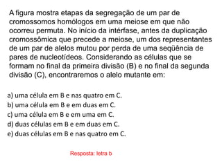 A figura mostra etapas da segregação de um par de
cromossomos homólogos em uma meiose em que não
ocorreu permuta. No início da intérfase, antes da duplicação
cromossômica que precede a meiose, um dos representantes
de um par de alelos mutou por perda de uma seqüência de
pares de nucleotídeos. Considerando as células que se
formam no final da primeira divisão (B) e no final da segunda
divisão (C), encontraremos o alelo mutante em:
a) uma célula em B e nas quatro em C.
b) uma célula em B e em duas em C.
c) uma célula em B e em uma em C.
d) duas células em B e em duas em C.
e) duas células em B e nas quatro em C.
Resposta: letra b
 