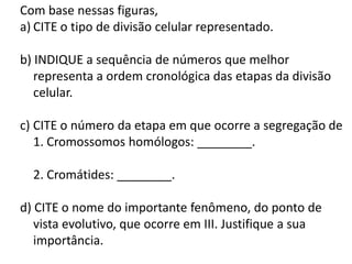 INTERFASE QUE PRECEDE A DIVISÃO
Com base nessas figuras,
a) CITE o tipo de divisão celular representado.
b) INDIQUE a sequência de números que melhor
representa a ordem cronológica das etapas da divisão
celular.
c) CITE o número da etapa em que ocorre a segregação de
1. Cromossomos homólogos: ________.
2. Cromátides: ________.
d) CITE o nome do importante fenômeno, do ponto de
vista evolutivo, que ocorre em III. Justifique a sua
importância.
 