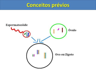 Conceitos prévios
 
