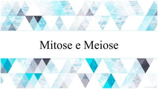 Mitose e Meiose
 