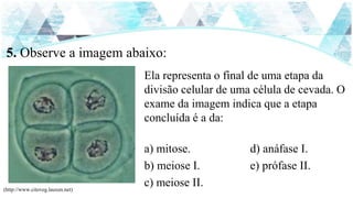 5. Observe a imagem abaixo:
Ela representa o final de uma etapa da
divisão celular de uma célula de cevada. O
exame da imagem indica que a etapa
concluída é a da:
a) mitose. d) anáfase I.
b) meiose I. e) prófase II.
c) meiose II.(http://www.citoveg.lauxen.net)
 