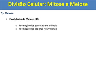 3) Meiose
 Finalidades da Meiose (R!)
o Formação dos gametas em animais
o Formação dos esporos nos vegetais
Divisão Celular: Mitose e Meiose
 