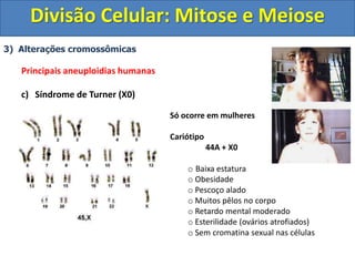 3) Alterações cromossômicas
Principais aneuploidias humanas
c) Síndrome de Turner (X0)
Só ocorre em mulheres
Cariótipo
44A + X0
o Baixa estatura
o Obesidade
o Pescoço alado
o Muitos pêlos no corpo
o Retardo mental moderado
o Esterilidade (ovários atrofiados)
o Sem cromatina sexual nas células
Divisão Celular: Mitose e Meiose
 