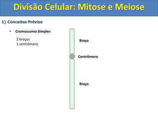1) Conceitos Prévios
• Cromossomo Simples
Centrômero
Braço
Braço
2 braços
1 centrômero
Divisão Celular: Mitose e Meiose
 