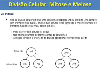 2) Mitose
 Tipo de divisão celular em que uma célula mãe haplóide (n) ou diplóide (2n), sempre
com cromossomos duplos, origina duas células filhas contendo o mesmo número de
cromossomos da célula mãe, porém simples.
Pode ocorrer com células (n) ou (2n)
Não altera o número de cromossomos da célula mãe
A mitose também é chamada de divisão equacional e simbolizada por E!
Nd
Ns Ns
2Nd
2Ns 2Ns
Célula mãe
Células filhas
Divisão Celular: Mitose e Meiose
 