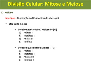 3) Meiose
Intérfase – Duplicação do DNA (Antecede a Meiose)
 Etapas da meiose
 Divisão Reducional ou Meiose I – (R!)
a) Prófase I
b) Metáfase I
c) Anáfase I
d) Telófase I
 Divisão Equacional ou Meiose II (E!)
a) Prófase II
b) Metáfase II
c) Anáfase II
d) Telófase II
Divisão Celular: Mitose e Meiose
 