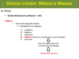 3) Meiose
 Divisão Reducional ou Meiose I – (R!)
Prófase I
o Fase mais longa da meiose
 É dividida em 5 subfases:
a) Leptóteno
b) Zigóteno
c) Paquíteno
d) Diplóteno (ocorre o crossing-over ou permutação)
e) Diacinese
Troca de fragmentos entre
cromossomos homólogos
Variabilidade genética
Divisão Celular: Mitose e Meiose
 