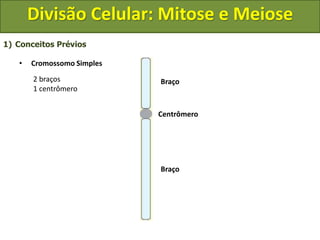 1) Conceitos Prévios
• Cromossomo Simples
Centrômero
Braço
Braço
2 braços
1 centrômero
Divisão Celular: Mitose e Meiose
 