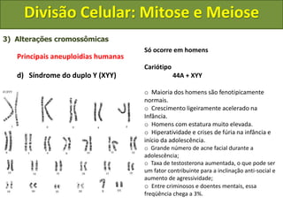 3) Alterações cromossômicas
Principais aneuploidias humanas
d) Síndrome do duplo Y (XYY)
Só ocorre em homens
Cariótipo
44A + XYY
o Maioria dos homens são fenotipicamente
normais.
o Crescimento ligeiramente acelerado na
Infância.
o Homens com estatura muito elevada.
o Hiperatividade e crises de fúria na infância e
início da adolescência.
o Grande número de acne facial durante a
adolescência;
o Taxa de testosterona aumentada, o que pode ser
um fator contribuinte para a inclinação anti-social e
aumento de agressividade;
o Entre criminosos e doentes mentais, essa
freqüência chega a 3%.
Divisão Celular: Mitose e Meiose
 